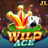 Wild Ace pgoto casino